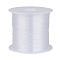 1 Roll Clear Nylon Wire, Fishing Line, Beading Thread, 0.4mm, about 43.74 yards(40m)/roll