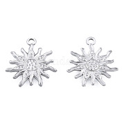 Подвески из нержавеющей стали 201 STAS-N098-171P