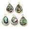 Natural Paua Shell Pendants, Teardrop Charms with Brass Edge, Golden, 19.5x12x3.5mm, Hole: 1.8mm