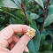 Ethnic Retro Style Flower Alloy Cuff Rings, Golden, Inner Diameter: Adjustable