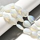 Opalite бисер пряди G-P561-B015-01-2
