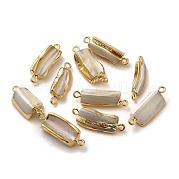 Подвески из натуральных ракушек trochus SSHEL-H071-03G