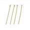304 Stainless Steel Flat Head Pins, Golden, 20.5x0.6mm, Head: 1.5mm