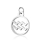 Non-Tarnish 304 Stainless Steel Charms, with Jump Rings, Polished, Flat Round with Constellation, Aquarius, 13x11x1mm, Hole: 2.5mm
