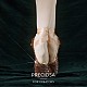 Preciosa® maxima crystal без горячей фиксации плоские камни Y-PRC-NSS6-00030-299-5