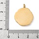 Подвески из хирургической нержавеющей стали 316 STAS-K258-43A-G-3