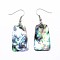 Abalone Shell Trapezoid Dangle Earrings, with Platinum Plated Brass Ear Hooks, 50mm, Pin: 0.8mm