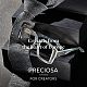 Preciosa® maxima crystal без горячей фиксации плоские камни Y-PRC-NSS6-10020-200-5