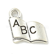 Сплавочные подвески тибетского стиля TIBE-I026-5995AS