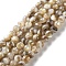 Natural Freshwater Shell Beads Strands, Round, 5mm, Hole: 0.7mm, about 81pcs/strand, 15.31''(38.9cm)