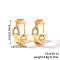 Fashionable Brass Cubic Zirconia Ring Hoop Earrings, Chain Charm, Golden, Clear, 19x6mm