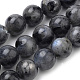 Натуральные нити бус из ларвикита G-S259-06-12mm-1
