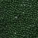 Выпечка краска стеклянные бусины SEED-H002-I-A520-3