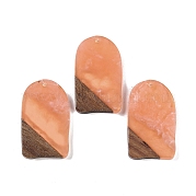 Подвески из смолы и дерева WOOD-F015-13A