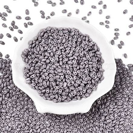 Выпечка краска стеклянные бусины SEED-T006-03Z-1