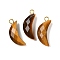 Natural Tiger Eye Pendants, with Brass Findings, Faceted, Moon Charms, 23x10x6mm, Hole: 2mm