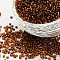 12/0 Glass Seed Beads, Silver Lined Round Hole, Round, Brown, 2mm, Hole: 1mm, about 2000 beads/30g