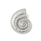 304 Stainless Steel Pendants, Conch Shape, Stainless Steel Color, 27x22x7.5mm, Hole: 5.5x3mm