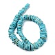 Натуральный Howlite чип бусины TURQ-L031-010-A-3