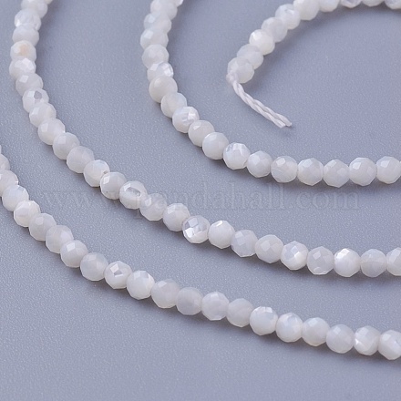 Нити бусин из ракушек SSHEL-E571-38-2mm-1