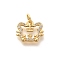 Rack Plating Brass Micro Pave Cubic Zirconia Pendants, Long-Lasting Plated, Lead Free & Cadmium Free, Zodiac Signs Charms, with Jump Ring, Tiger, 10x12x2mm