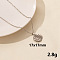 304 Stainless Steel Flat Round Pendant Necklace for Women, Cable Chain Necklaces