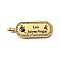 Oval with 12 Constellation 304 Stainless Steel Rhinestone Pendants, with Enamel, Ion Plating(IP), Real 18K Gold Plated, Leo, 46x19x2mm, Hole: 6x3.5mm