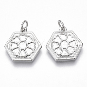 Латунные подвески для эмали KK-S356-003P-NF