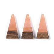 Подвески из смолы и дерева WOOD-F015-03G