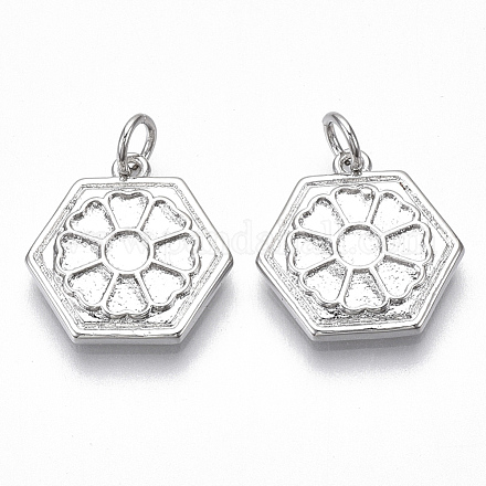 Латунные подвески для эмали KK-S356-003P-NF-1