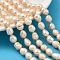 Natural Cultured Freshwater Pearl Beads Strands, Rice, Grade AB+, PeachPuff, 9~10mm, Hole: 0.6mm, about 35~36pcs/strand, 15.55''~15.75''(39.5~40cm)