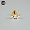 G23 Titanium Micro Pave Cubic Zirconia Cartilage Earrings, Internally Threaded Labrets Stud, Tragus Stud, Flat Back Earring, Leaf, Golden, 8mm, Pin: 1.2mm
