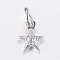 Brass Micro Pave Cubic Zirconia Charms, Star, Platinum, 8x6x2mm, Hole: 3mm
