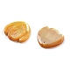 Резные подвески из натуральных желтых ракушек SSHEL-Z002-05-2