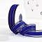 Polyester Organza Ribbons with Gold Edge, Garment Accessories, Gift Wrapping Ribbon, Medium Blue, 1 inch(25mm), about 49.21 Yards(45m)/Roll