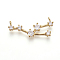 Brass Micro Pave Cubic Zirconia Pendants, Twelve Constellations, Golden, Taurus, 10.5~11.5x27x3mm, Hole: 1.5mm