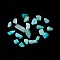 Natural Amazonite Chip Beads, No Hole/Undrilled, 5~10.5x5~7x2~4mm