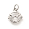 Rack Plating Brass Micro Pave Cubic Zirconia Pendants, Long-Lasting Plated, Lead Free & Cadmium Free, Zodiac Signs Charms, with Jump Ring, Sheep, 11x11x2mm