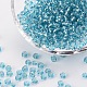 (доступна услуга переупаковки) 6/0 стеклянный бисер SEED-C014-4mm-23-1