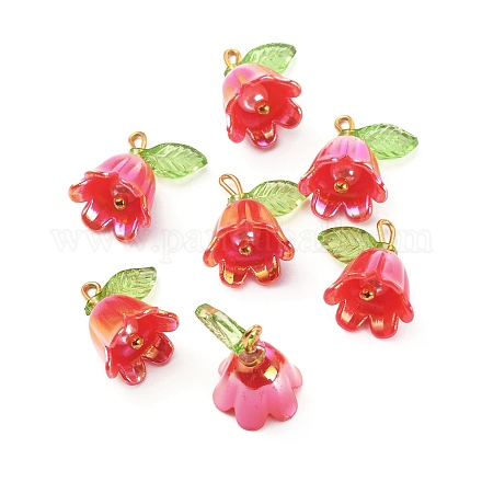 Подвески из непрозрачной смолы CRES-CJC0009-05G-08-1