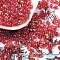 Glass Seed Beads, Half Plated, Transparent Colours Rainbow, Round Hole, Round, Indian Red, 4x3mm, Hole: 1.2mm, about 166pcs/10g