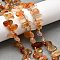 Natural Carnelian Beads Strands, Nuggets, Top Drilled, Tumbled Stone, with Seed Beads , 9.5~20x4~9x4.5~6mm, Hole: 1mm, about 49~60pcs/strand, 14.96''~16.14''(38~41cm)