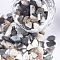 Black Lip Shell Beads, For Nail Art Decoration Accessories, No Hole/Undrilled, Chips, Black, 2~18x2~10x0.5~5mm, about 450g/bag