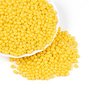 Выпечка краска стеклянные бусины SEED-N007-29F