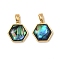 Natural Paua Shell Hexagon Charms, with Brass Settings, Real 18K Gold Plated, 13x12.5x4.5mm, Hole: 4.5x2.5mm