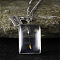 Clear Glass with Dandelion Inside Pendant Necklaces, Rectangle Wish Zinc Alloy Jewelry for Women, Platinum, Rectangle, 17.72~18.70 inch(45~47.5cm)