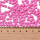 Выпечка краска стеклянные бусины SEED-B001-02A-01-4