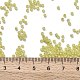 Круглые бусины toho X-SEED-TR11-2109-3
