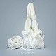 Preciosa® maxima crystal без горячей фиксации плоские камни Y-PRC-NSS12-10220-5
