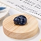 Natural Sodalite Display Decorations, Reiki Energy Stone Figurine, Sleeping Cat, 33.5x39x23.5mm